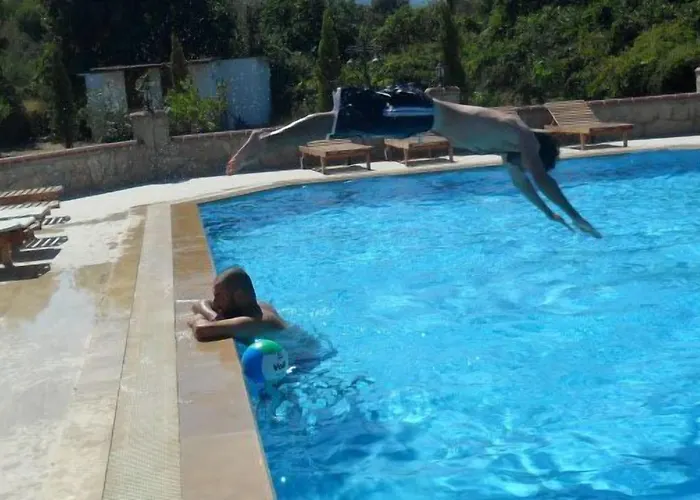 住宿加早餐酒店 Mercan 达特恰