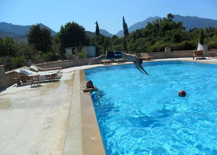 住宿加早餐酒店 Mercan 达特恰