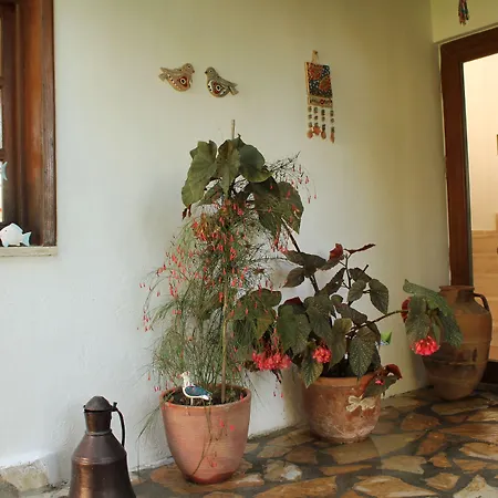 Bed & Breakfast Mercan