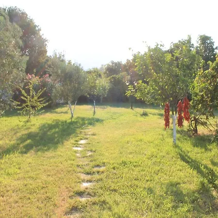 Mercan Bed & Breakfast Datca