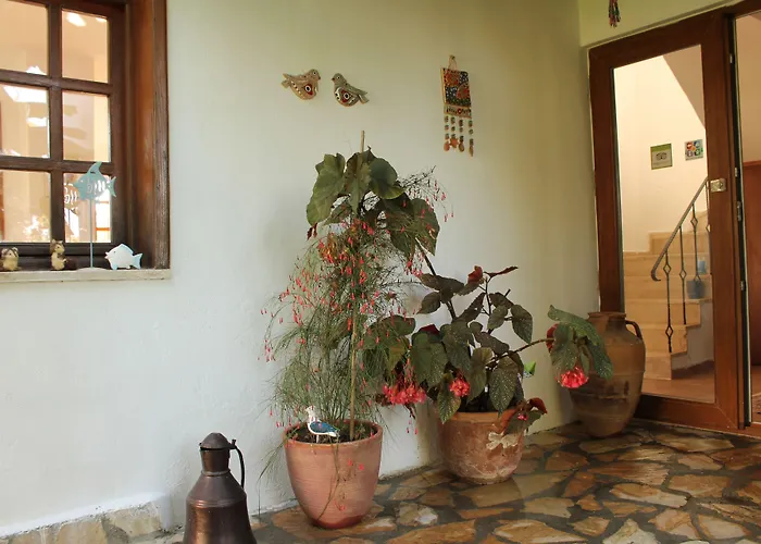 Bed & Breakfast Mercan