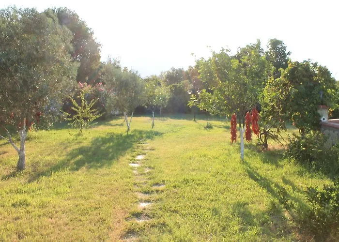 Mercan Bed & Breakfast Datca